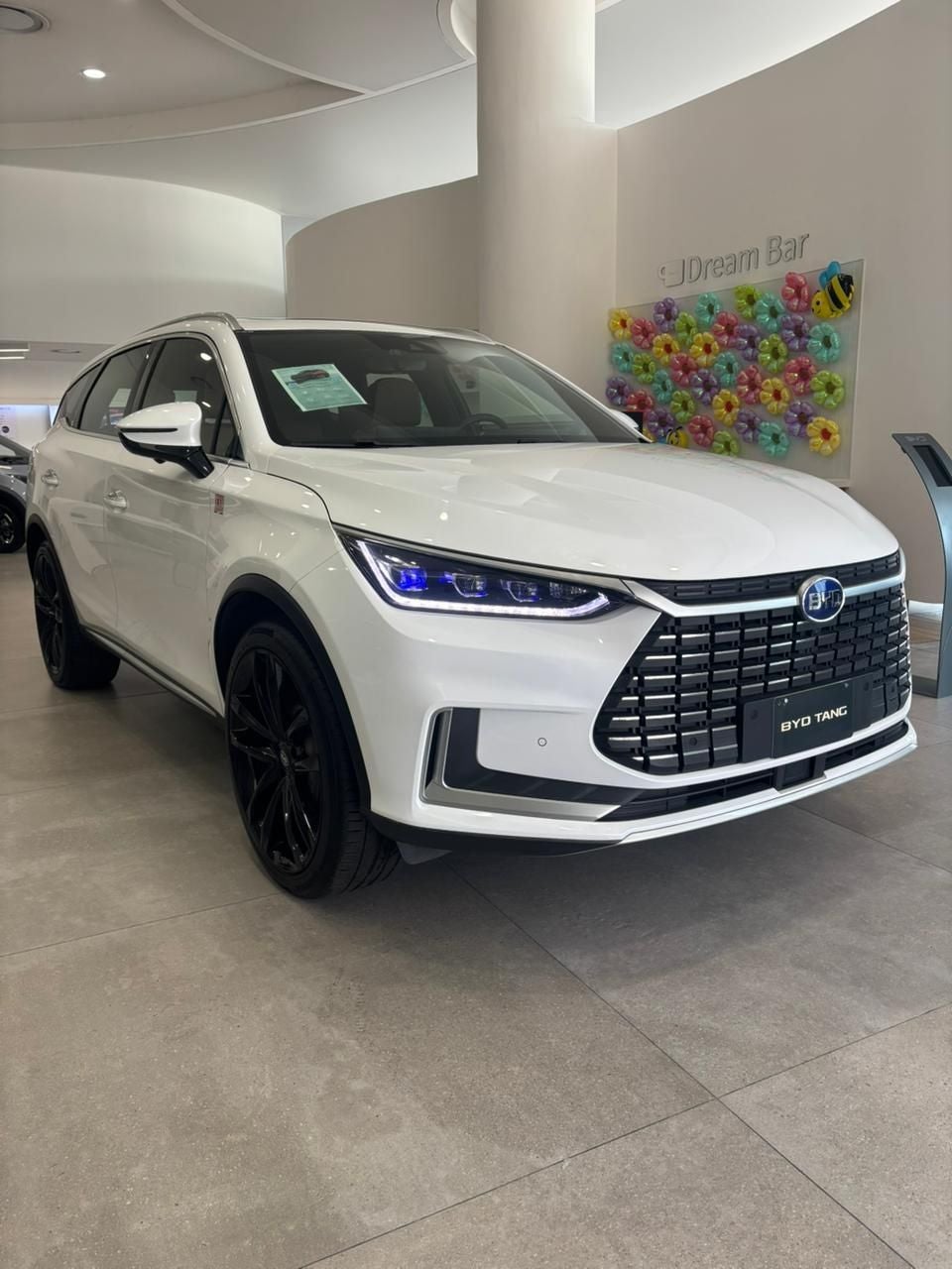 2023 BYD Tang Tang EV At