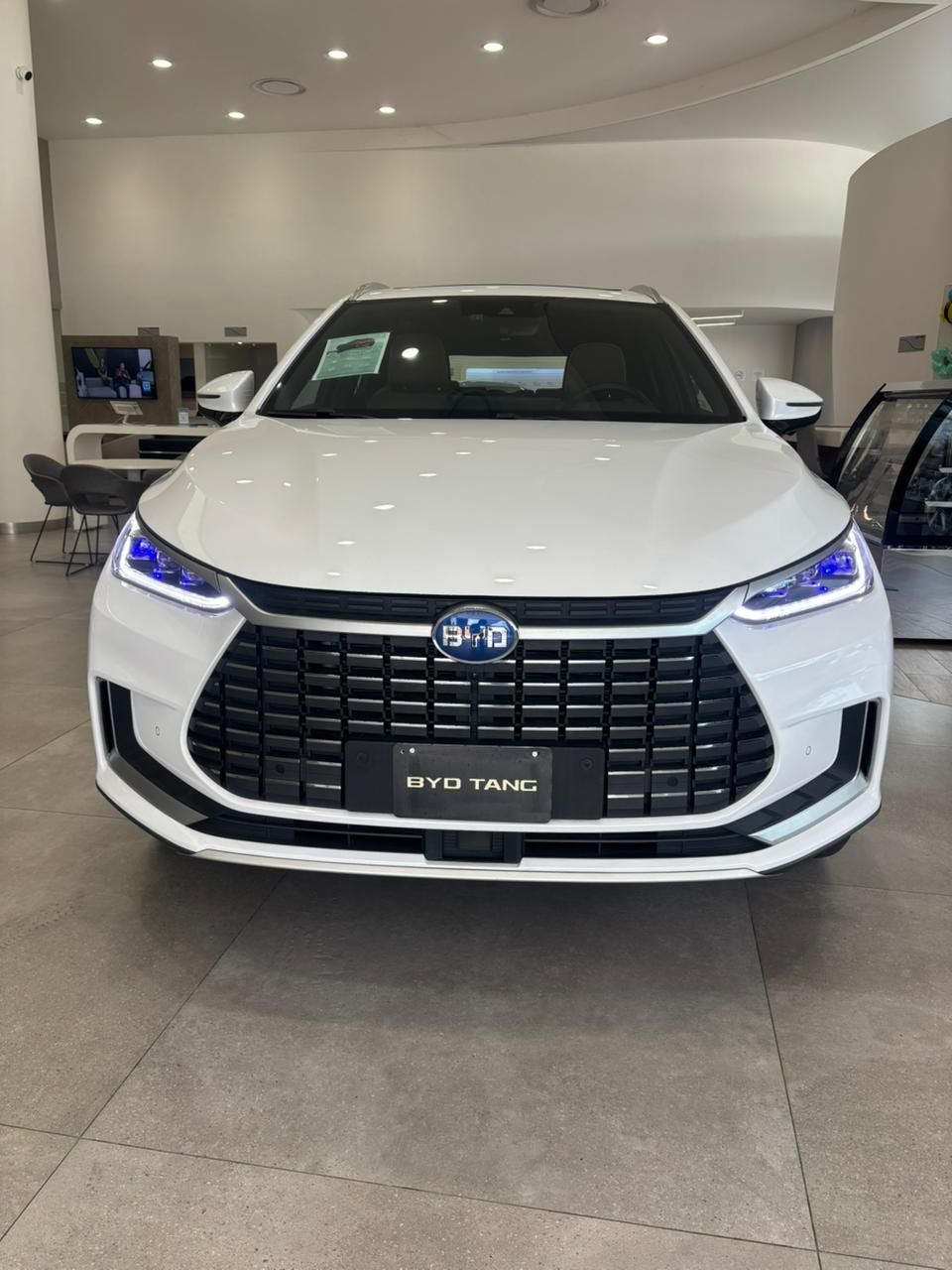 2023 BYD Tang Tang EV At