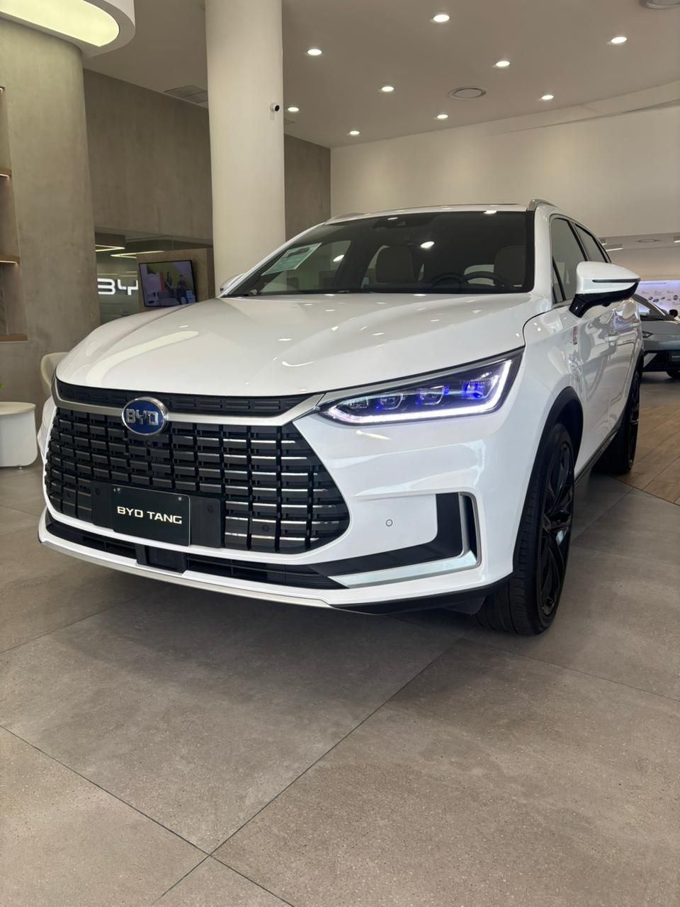 2023 BYD Tang Tang EV At