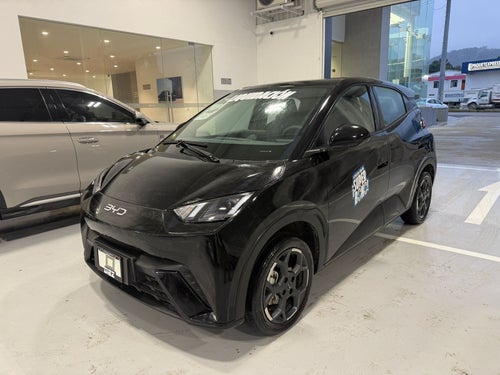 2026 BYD Dolphin Mini 300 Km Hb Mini Hev At