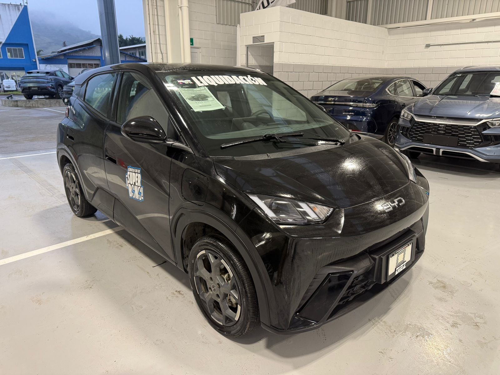 2026 BYD Dolphin Mini 300 Km Hb Mini Hev At