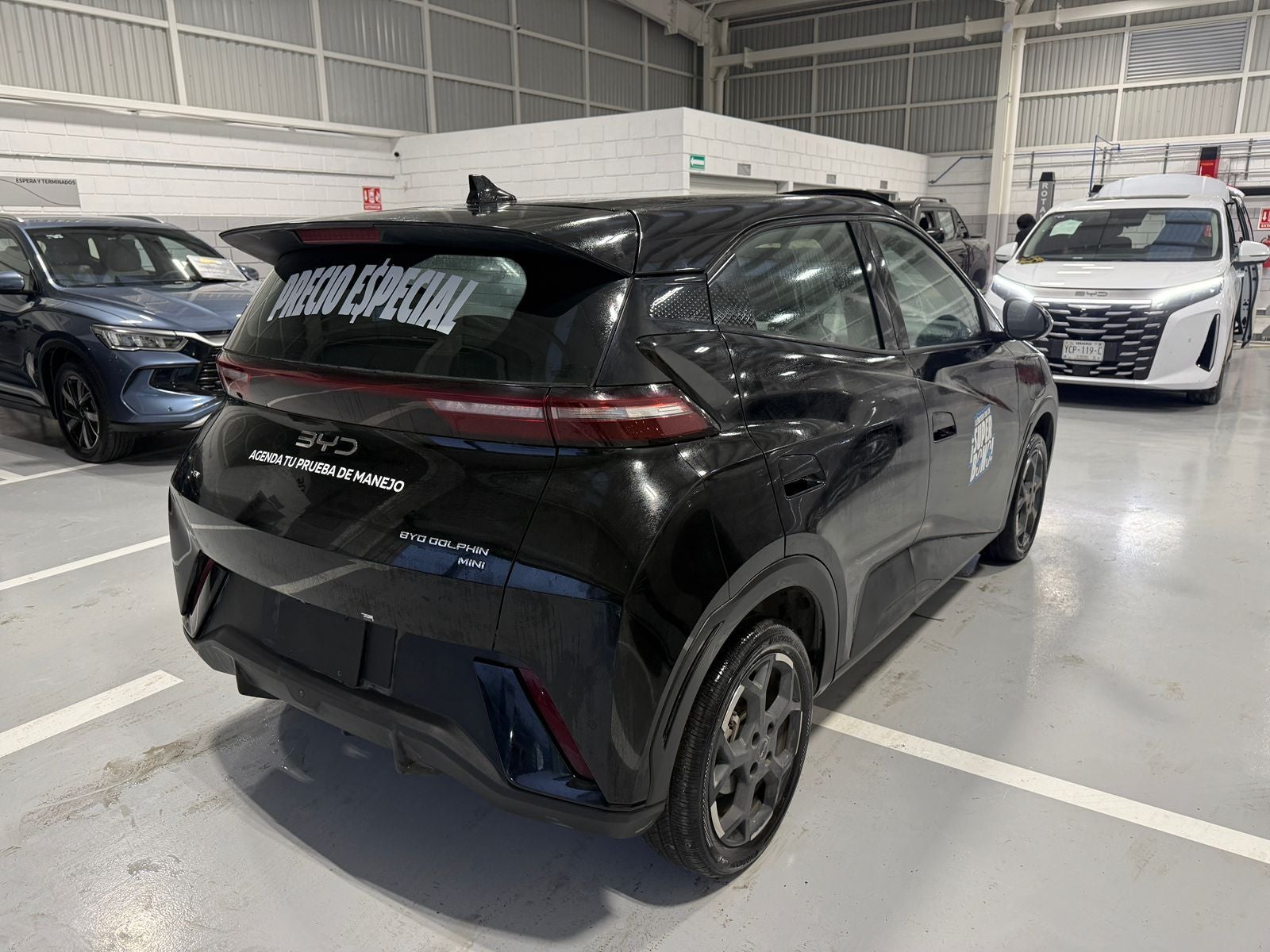 2026 BYD Dolphin Mini 300 Km Hb Mini Hev At