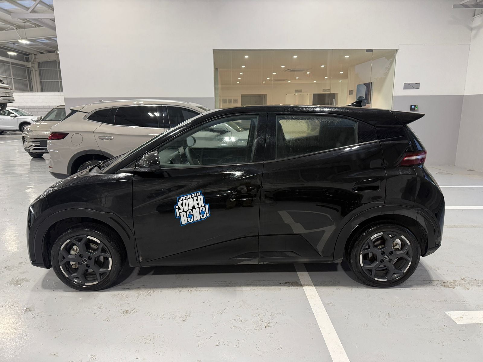 2026 BYD Dolphin Mini 300 Km Hb Mini Hev At